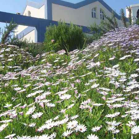 Holiday home Casa Tedi: Luxurious With Pool And Gardens In *