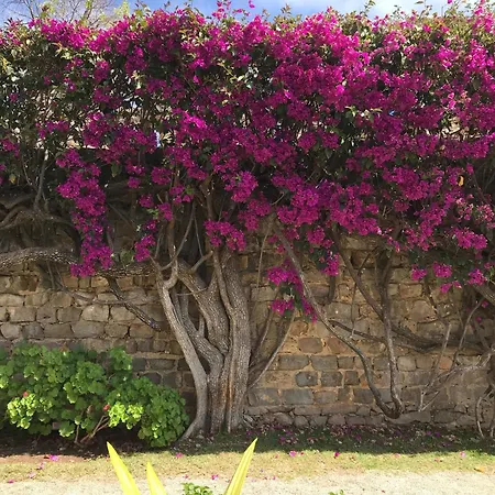 Casa Tedi: Luxurious With Pool And Gardens In *