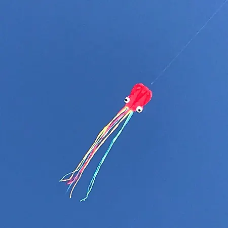 Casa Tedi, Alto Do Perogil, - 3 Bedroom, 3 Bathroom Villa, Large Pool, Exquisite Gardens & Air-conditioning 別荘