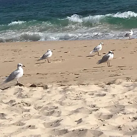 Casa Tedi, Alto Do Perogil, - 3 Bedroom, 3 Bathroom Villa, Large Pool, Exquisite Gardens & Air-conditioning