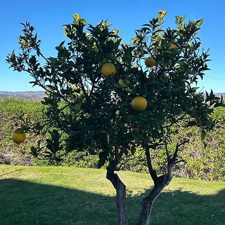 Casa Tedi, Alto Do Perogil, - 3 Bedroom, 3 Bathroom Villa, Large Pool, Exquisite Gardens & Air-conditioning 別荘 タヴィラ