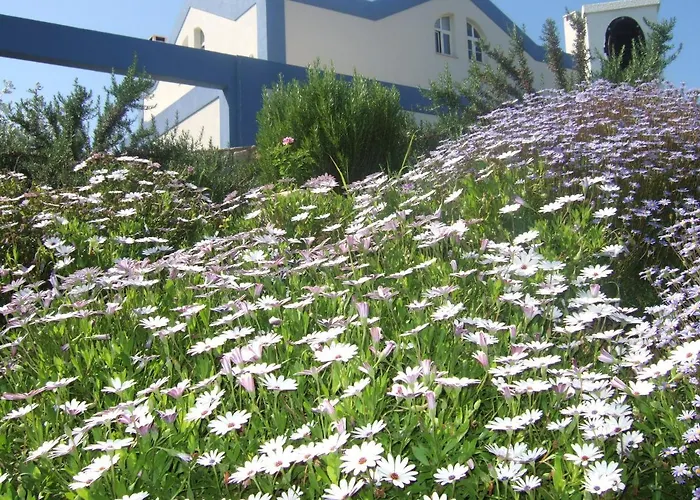 Ferienhaus Casa Tedi, Alto Do Perogil, - 3 Bedroom, 3 Bathroom Villa, Large Pool, Exquisite Gardens & Air-conditioning *